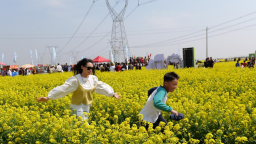 河北沧州：“一季花事”带旺文旅产业