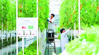 依河而兴 向美而行——石家庄市推进滹沱河沿岸和美乡村重点片区建设