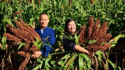 河北保定徐水区：“特色IP”赋能乡村游“节日热”到“常态火”