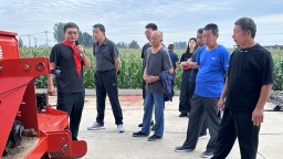 图片默认标题