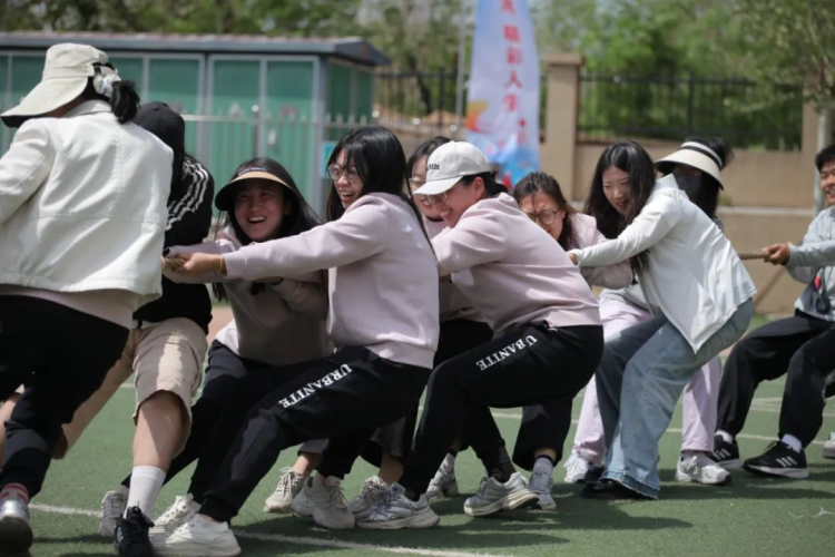 石家庄市紫林湾小学第二届体教融合全员运动会暨课后服务成果展示会_fororder_教师