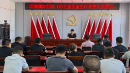 图片默认标题