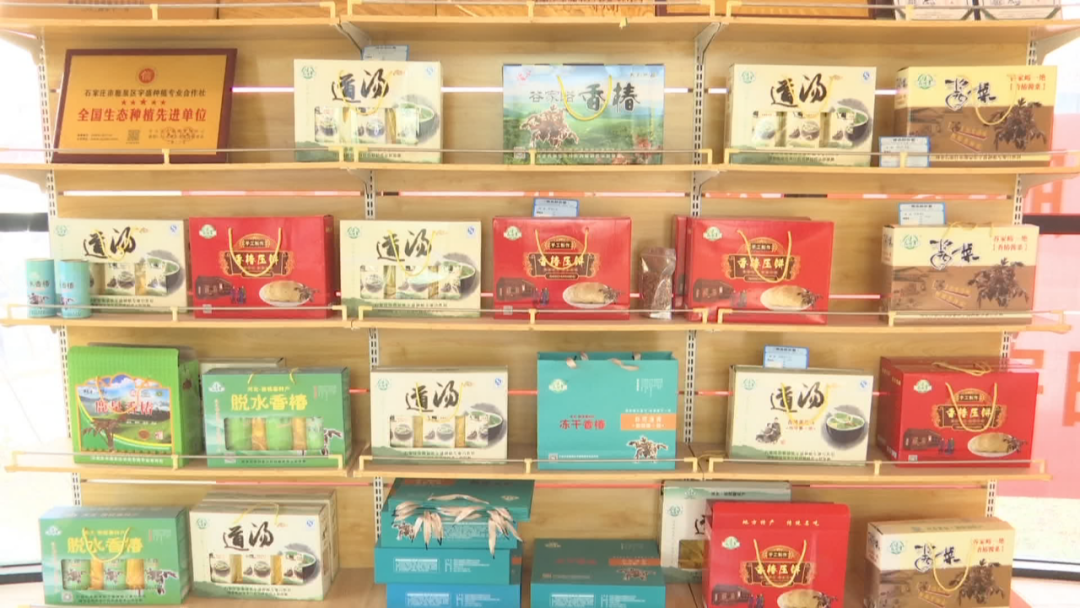 石家庄市鹿泉区：智能栽种引出“椿”光大道_fororder_image003