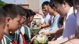 沧州市新华区：趣玩闯关强本领 多彩活动促成长