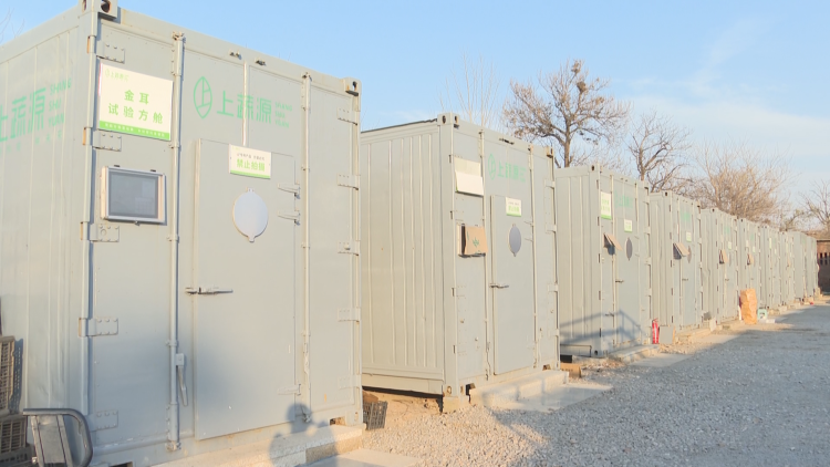 石家庄市鹿泉区：集装箱变身“四季农场”_fororder_image005