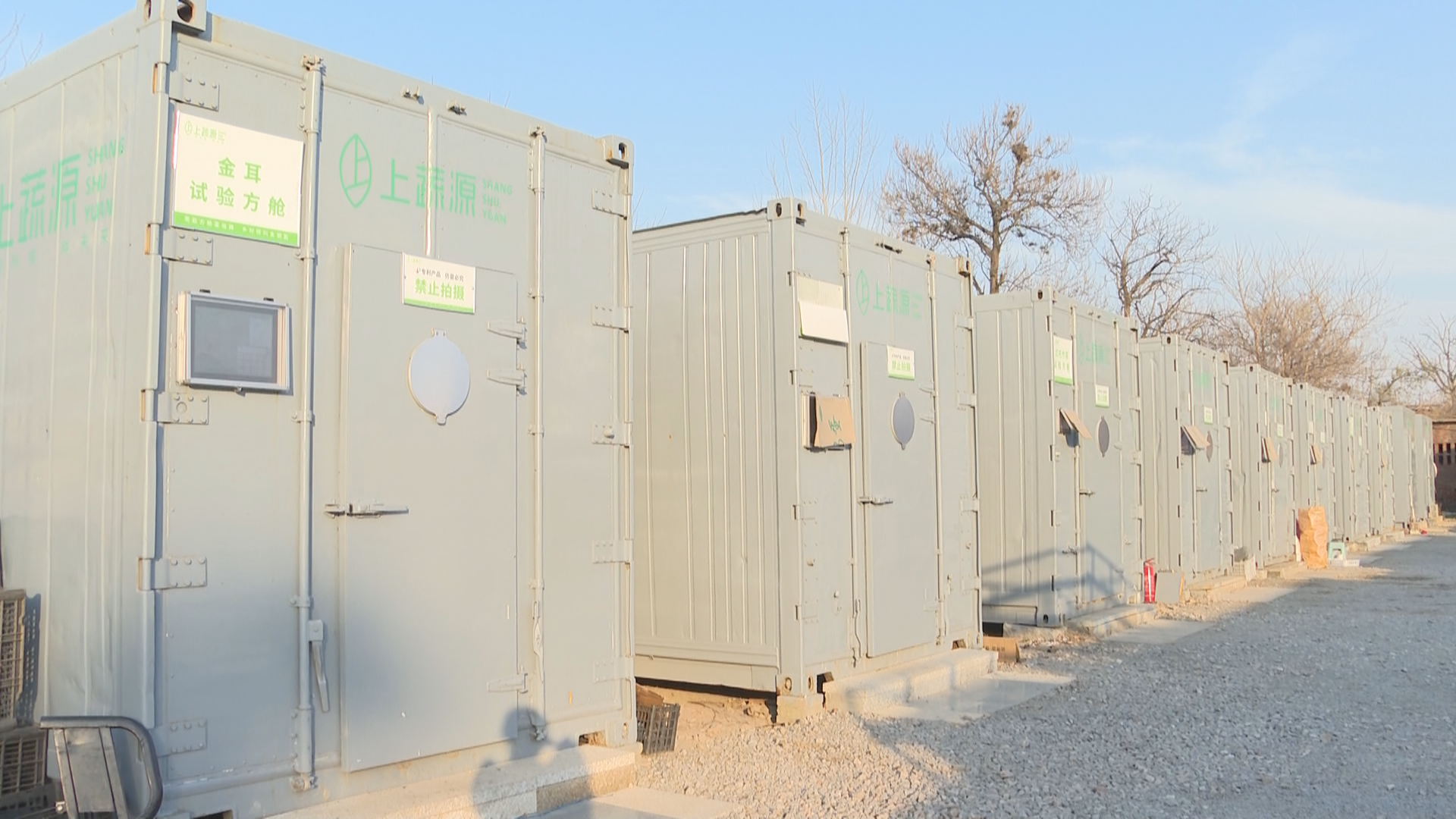 石家庄市鹿泉区：集装箱变身“四季农场”_fororder_image005