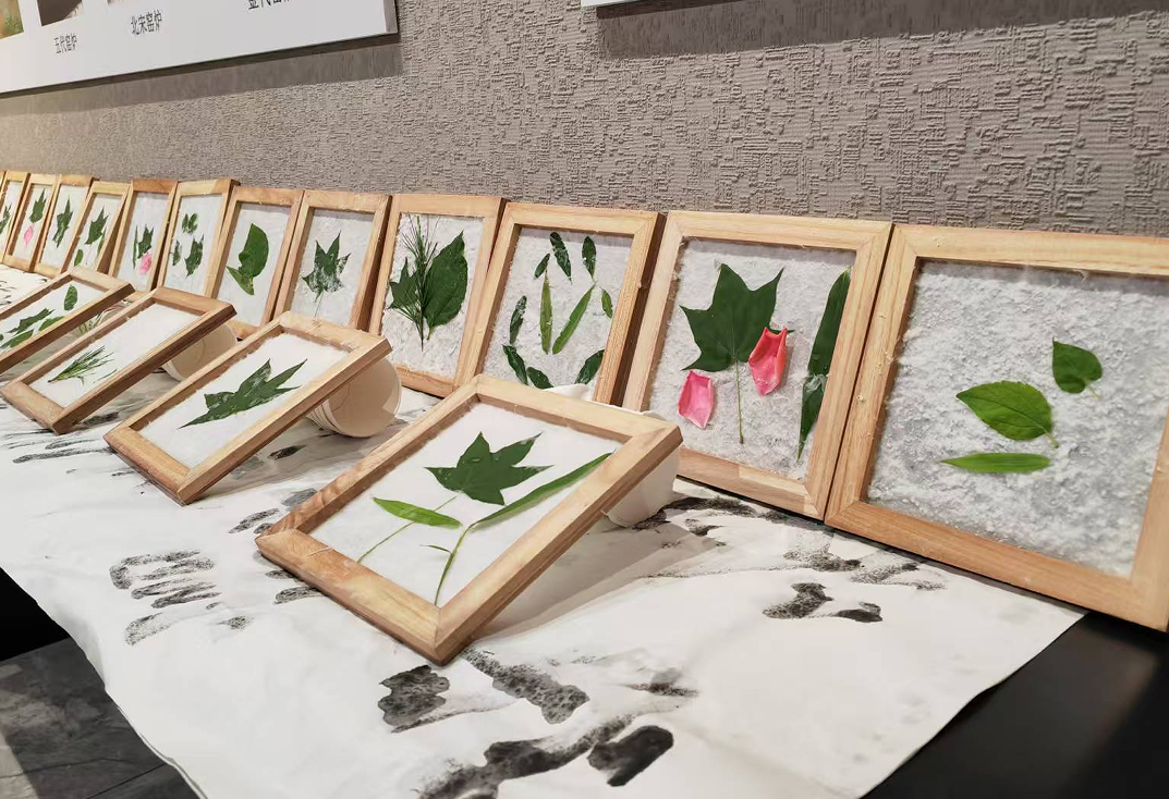 河北曲阳：童心巧手造古纸 一帘纸韵传千年_fororder_图片3