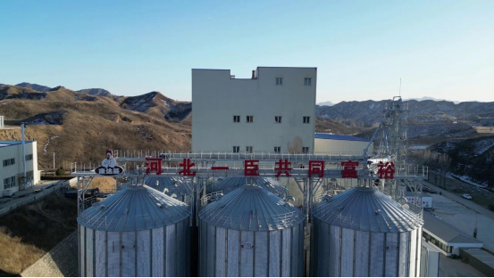 河北阜平：一臣2亿元肉鸡加工项目加速推进_fororder_河北阜平：2亿元肉鸡加工项目加速推进 1226133