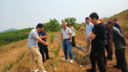 遵化市东旧寨镇：党建引领强根基 乡村振兴谱新篇