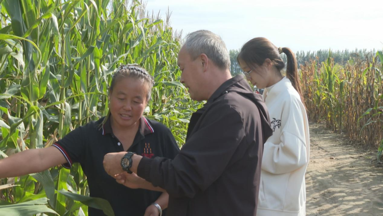 石家庄鹿泉区：农技专家田间“把脉问诊” 助力冬小麦播种_fororder_图片3