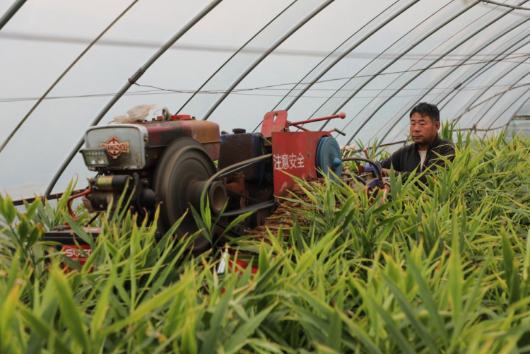 图片默认标题_fororder_图片1