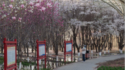 保定市徐水区：春色满园 共享生态和谐新画卷