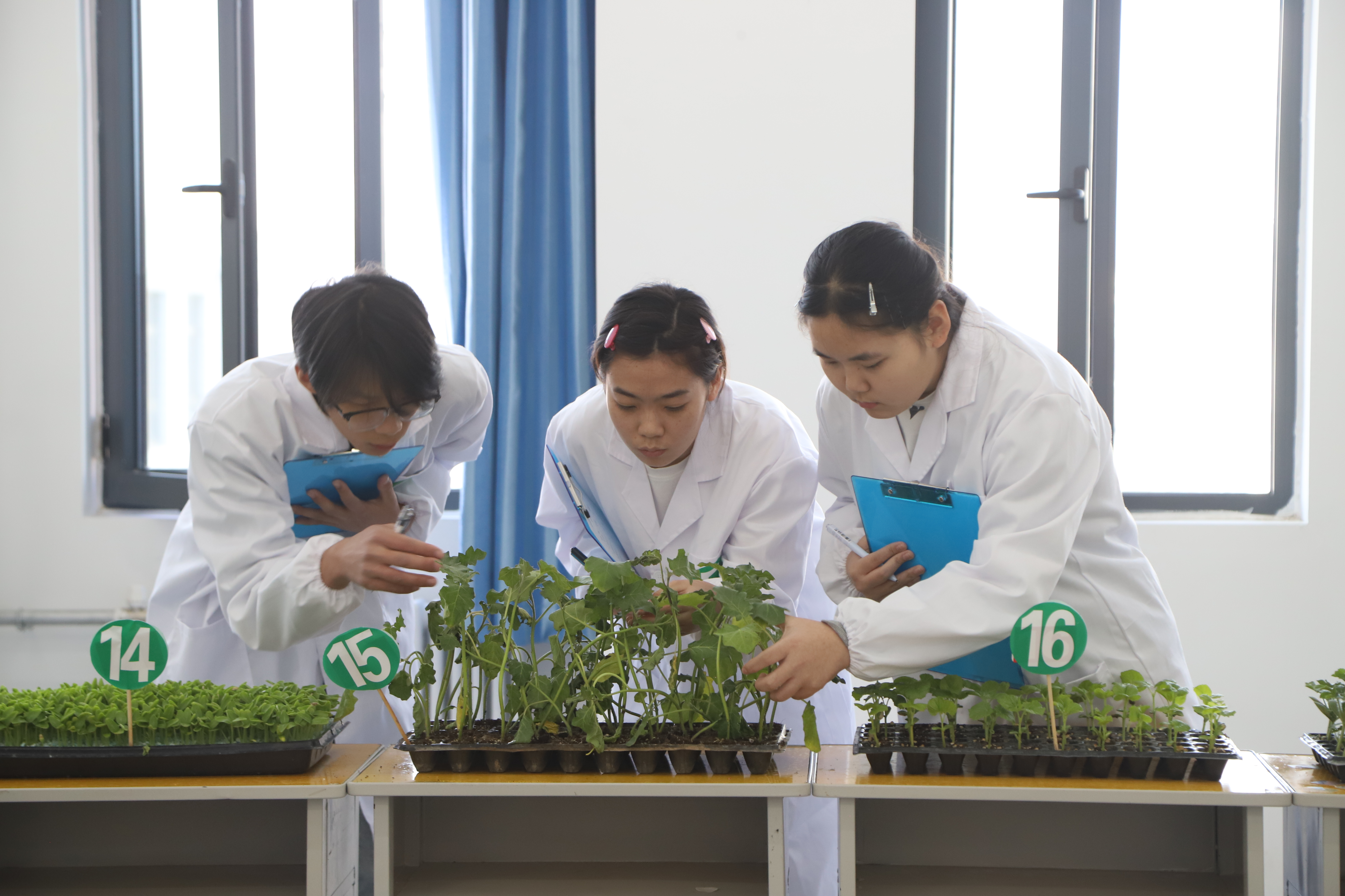 图片默认标题_fororder_1