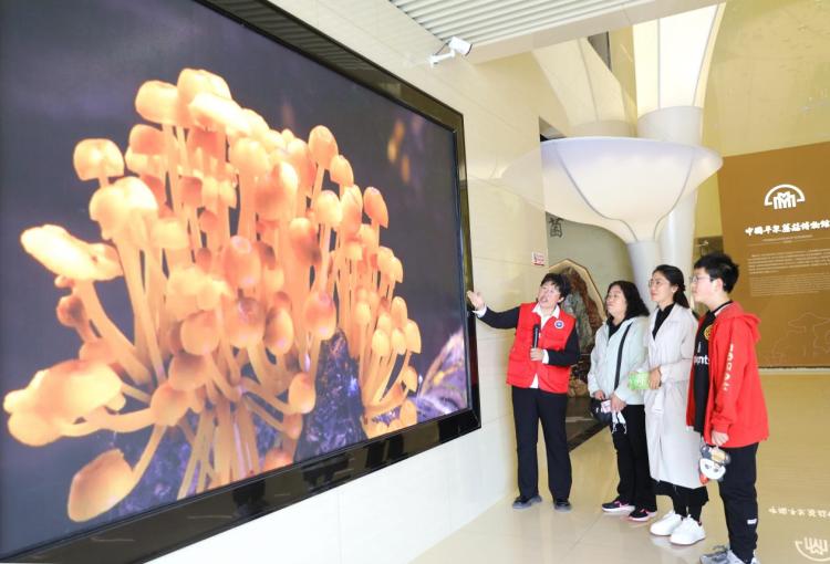 图片默认标题_fororder_image003