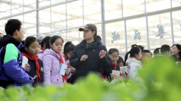 河北肃宁：研学实践进田园 田间课堂学知识