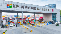河北高碑店：托起乡村振兴“大民生”