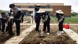 河北望都：中小学劳动技能竞赛点燃青春活力