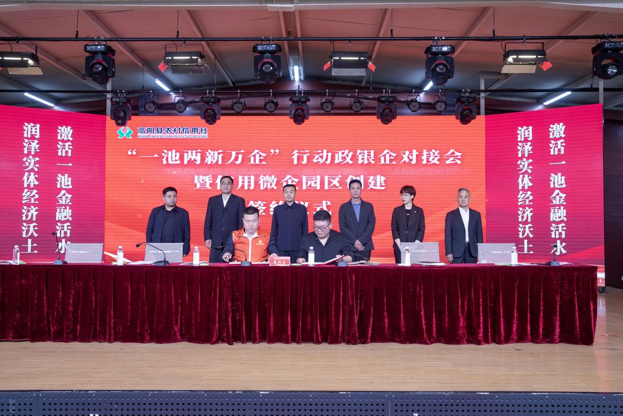 河北高阳：政银企助力小微企业高质量发展_fororder_图片 3