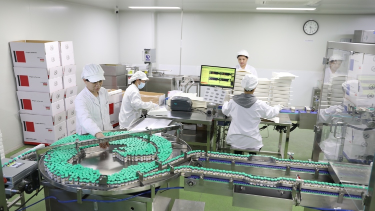 【新春走基层】保定莲池区：企业复工复产忙 全力冲刺“开门红”_fororder_图二：瑞普（保定）生物药业有限公司包装车间工人正在包装流水线上进行疫苗包装。（刘宗泽摄）.JPG