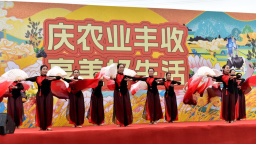 图片默认标题