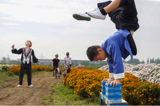 河北吴桥：运河畔菊海开园引客来_fororder_河北吴桥：运河畔菊海开园引客来243