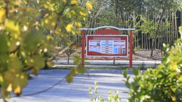 保定市满城区：精修城市“微空间” 雕琢街角“小美好”