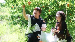 保定市满城区：太行黄杏香千里 品牌赋能促振兴