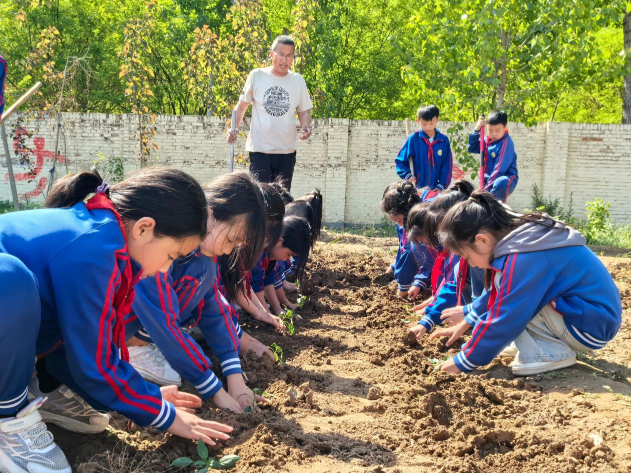 河北省泊头市各小学组织走进春天体验农耕活动_fororder_图片4