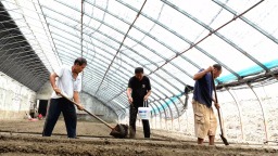 河北承德双滦区大贵口村——灾后重建加速度 生产生活复新颜