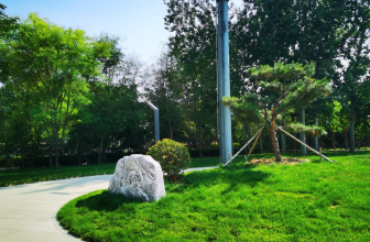 图片默认标题