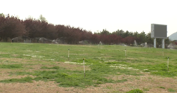 石家庄市鹿泉区：强化植物管护 全力迎接“五一”假期_fororder_image004