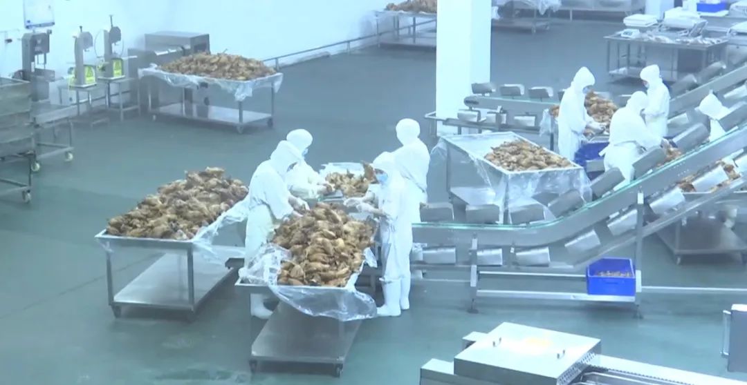石家庄市鹿泉区：打造舌尖上的“好味道” 助力现代食品产业发展_fororder_image001