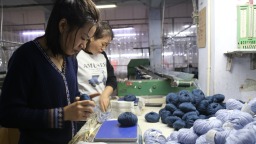 河北蠡县：电商助力毛线产业“线上开花” 发货量日均超20万件