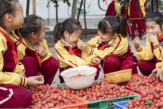 石家庄晋州:劳动赋能“双减” 助力学生成长