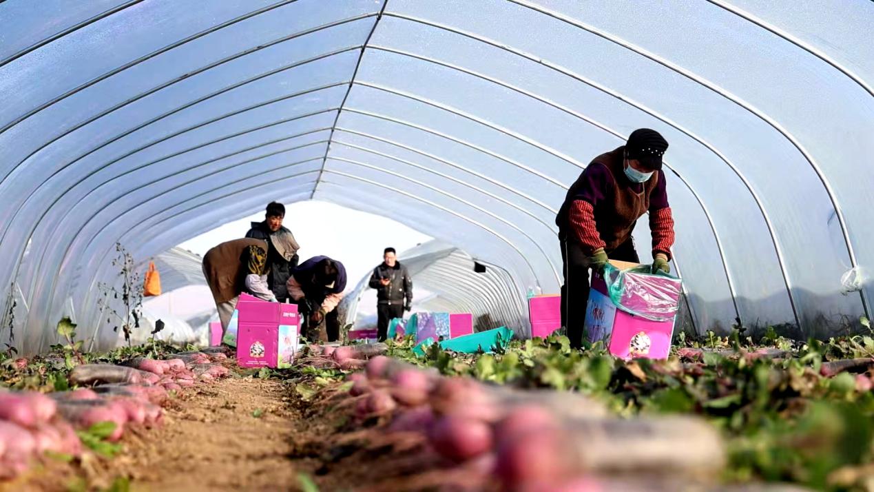 河北泊头：订单织“钱”景 产业奏“富”音_fororder_image001