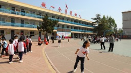 保定市竞秀区：弘扬冠军精神 书写健康人生