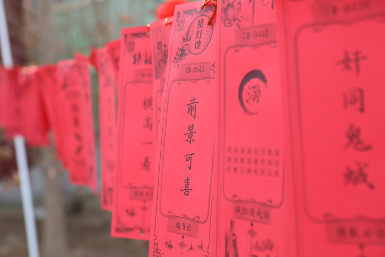 连续11届 河北南皮猜灯谜活动让书香邂逅年味_fororder_图片 1