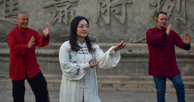 太极寻根 多国驻华外交官沉醉广府“三城”魅力