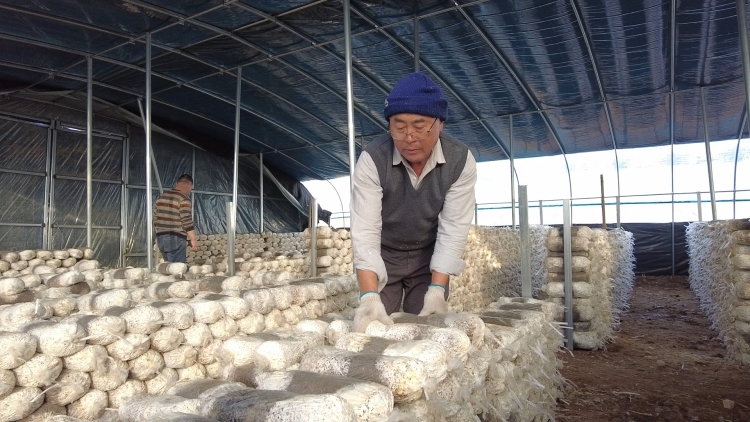 河北迁安：百余名高校学子投身家乡社会实践_fororder_图1