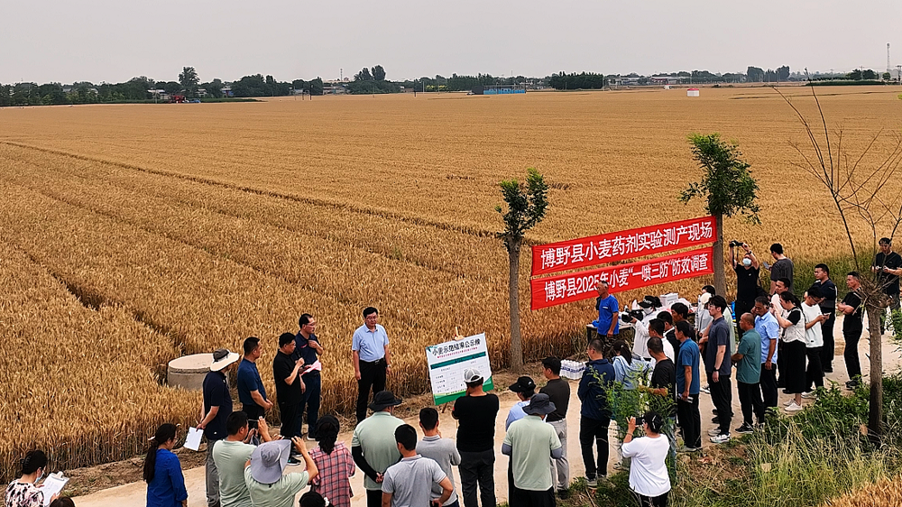 保定博野：举办绿色防控示范基地小麦实收观摩会 共促农业新发展_fororder_1