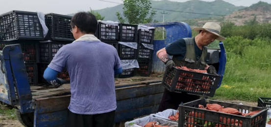 从“地雷战”热土到智慧果园：四位海归以代码“耕”出农业新未来_fororder_从“地雷战”热土到智慧果园：四位海归的太行“代码革命”868