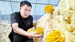 围场创新举措推动乡村全面振兴：“特”字当头，激活产业发展新动能
