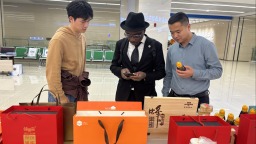 保定市满城区：匠心铸就高品质 国际舞台展风采