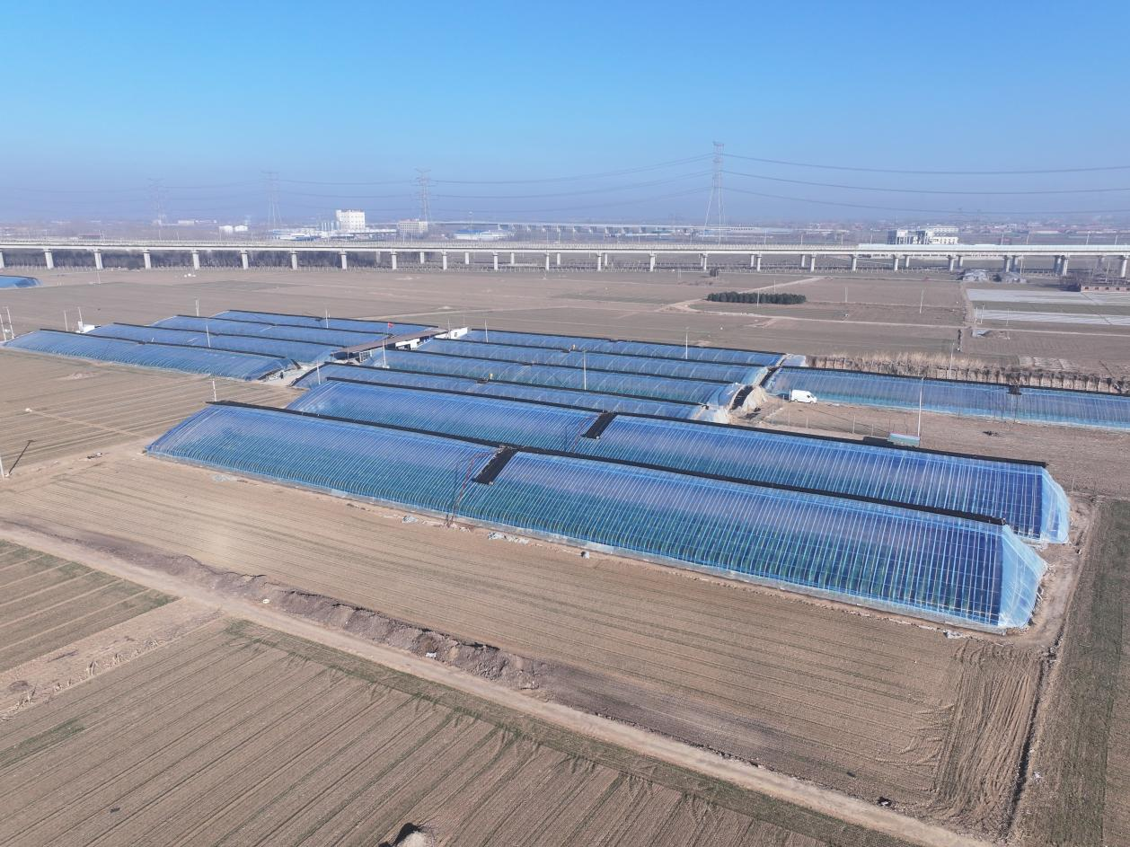 图片默认标题_fororder_图片 1