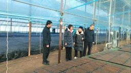 保定博野：精准培训强技能 校企携手促发展