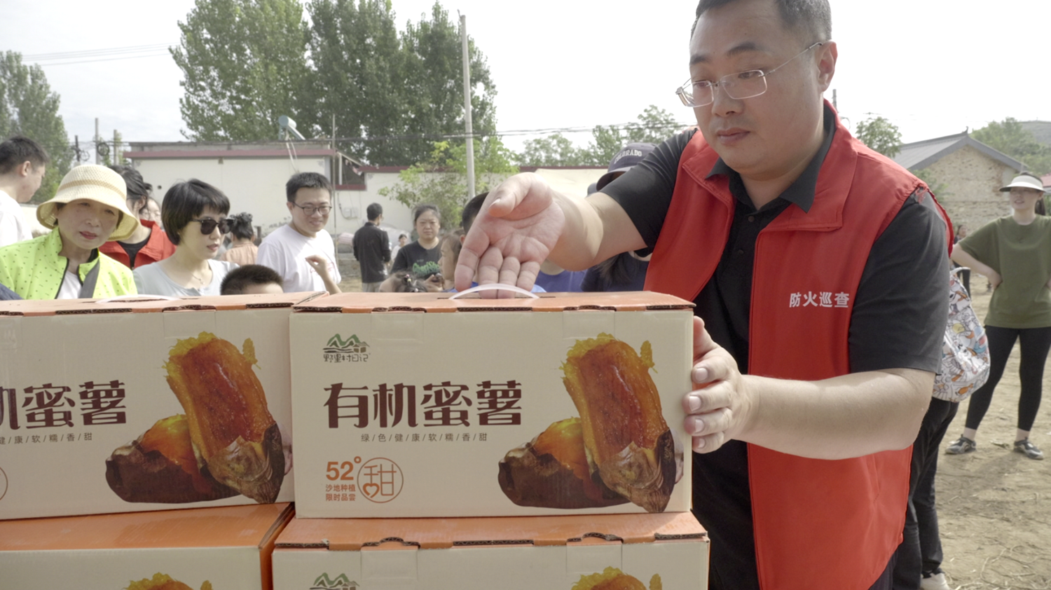 图片默认标题_fororder_村支书将红薯整理装箱 摄影 边龙