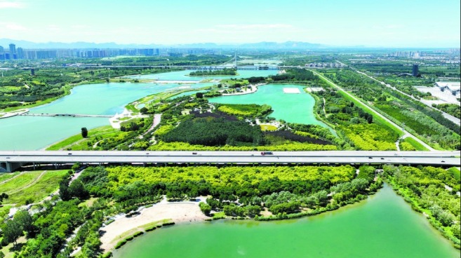 碧水奔流万物生——从美丽河湖看石家庄滹沱河生态修复之路
