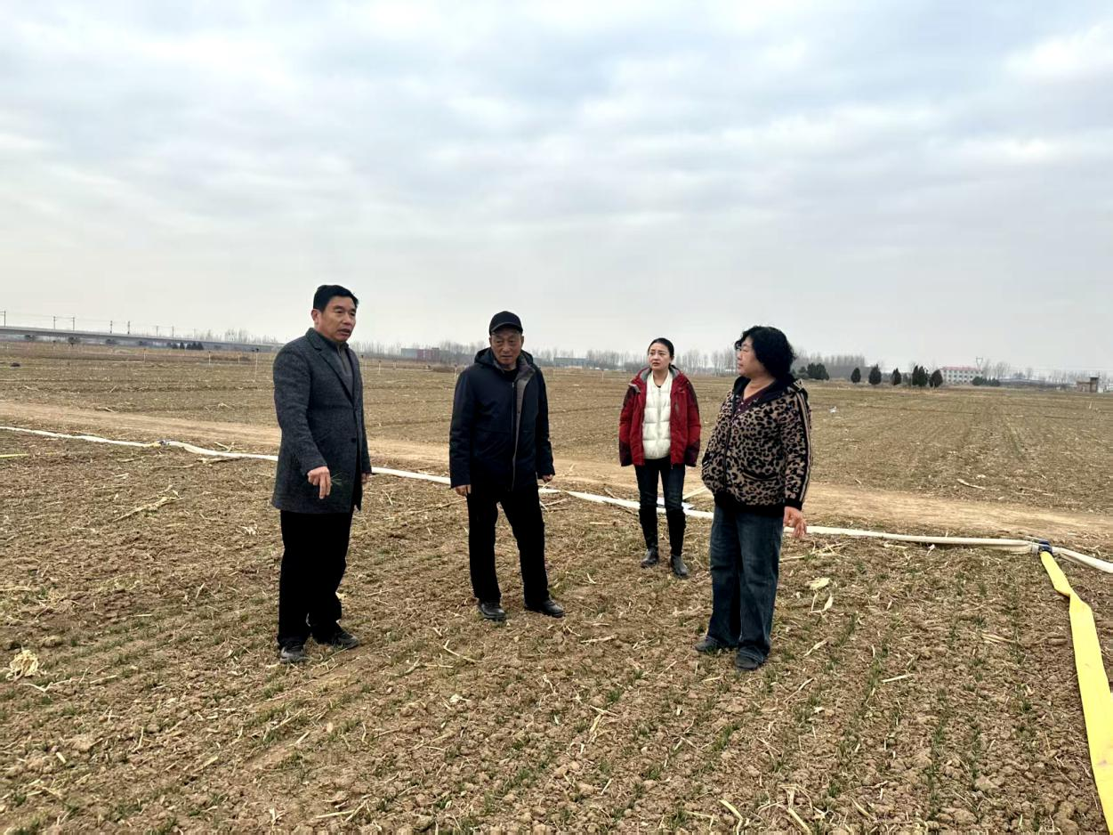 图片默认标题_fororder_图片 3