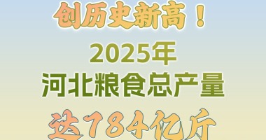 长图·2025河北经济数据解读丨创历史新高！2025年河北粮食总产量达784亿斤