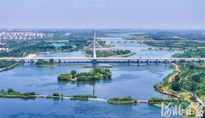 滹沱河畔夏意浓